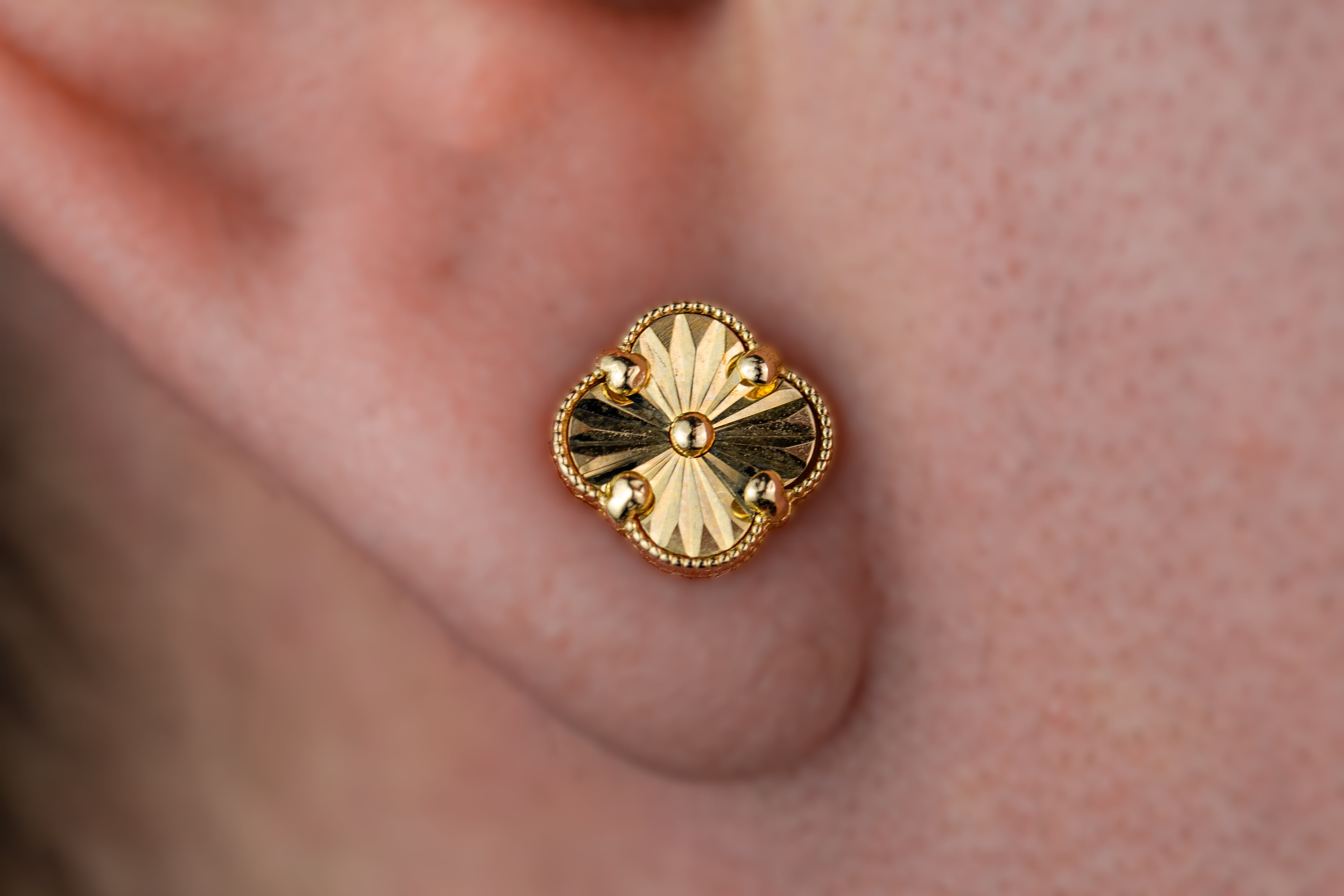 Arte Van Cleef labrado