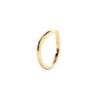 Anillo Jacket gold